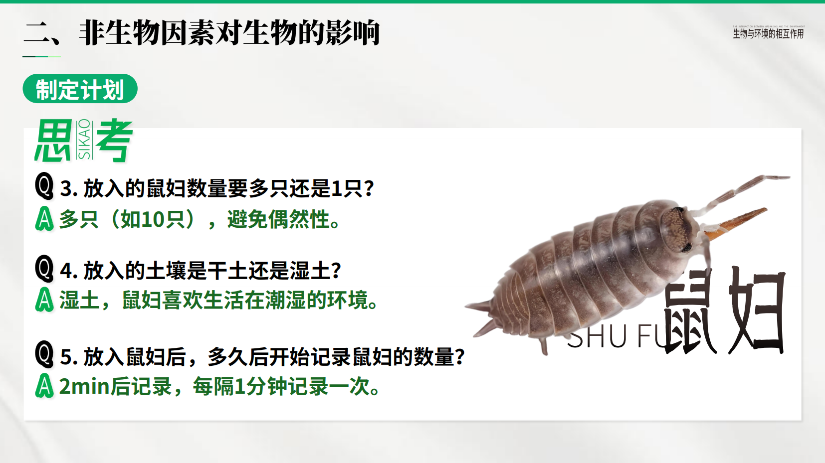 预览图 15