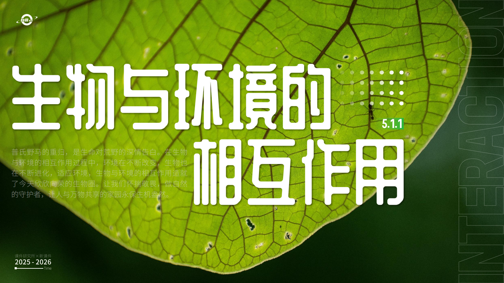 预览图 2