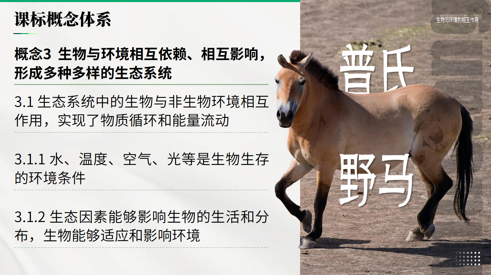 预览图 3