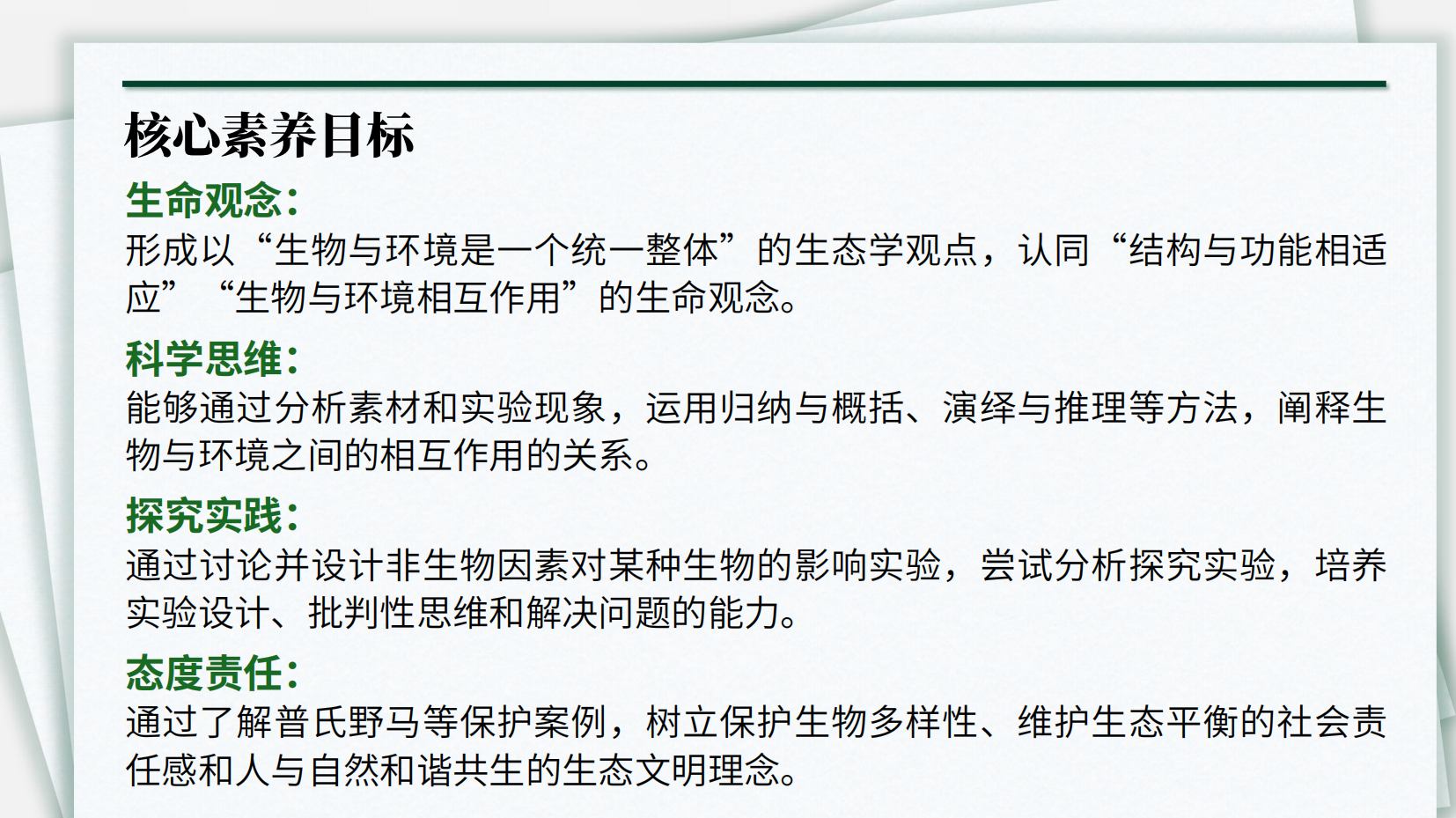预览图 4