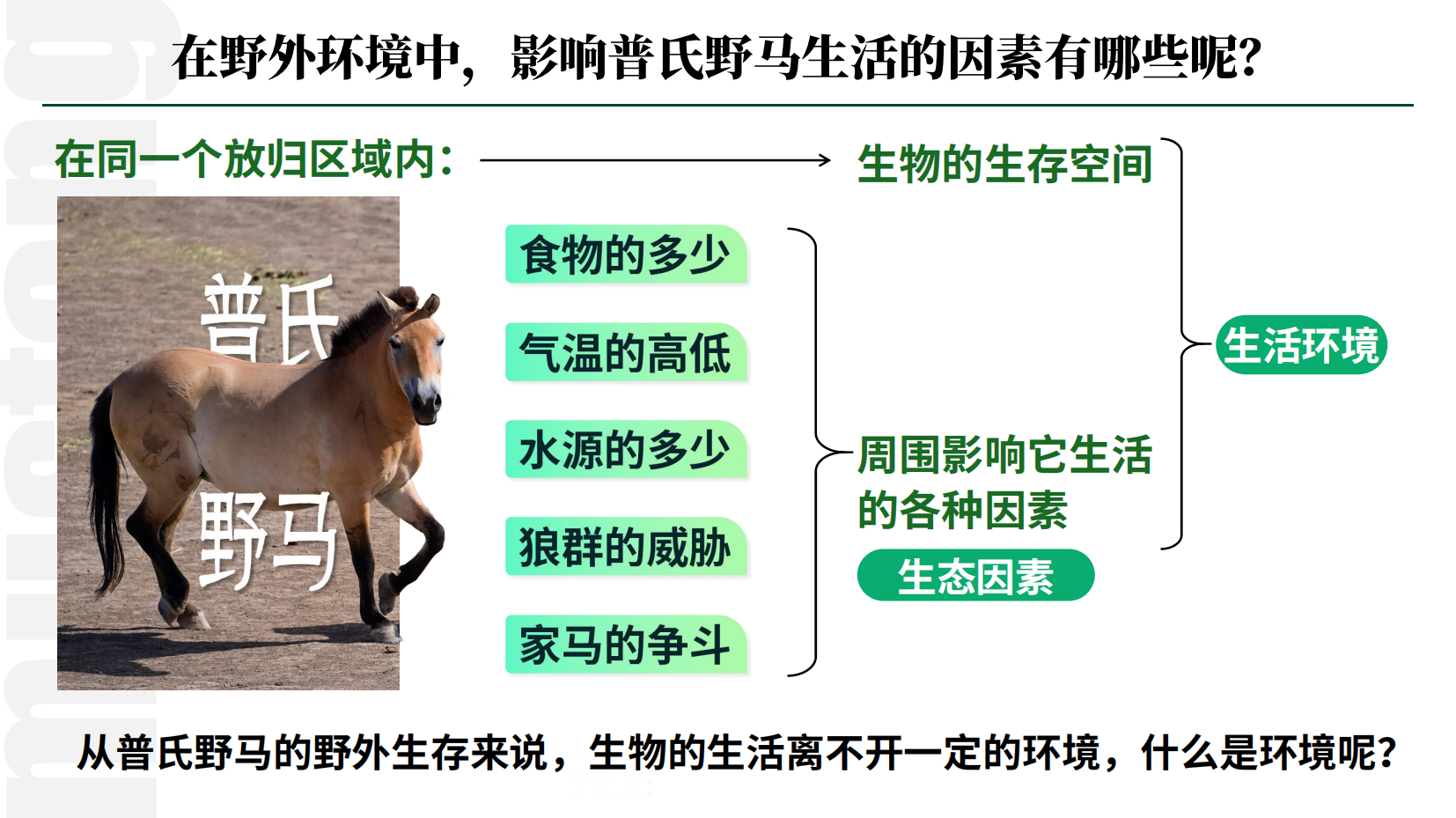 预览图 6