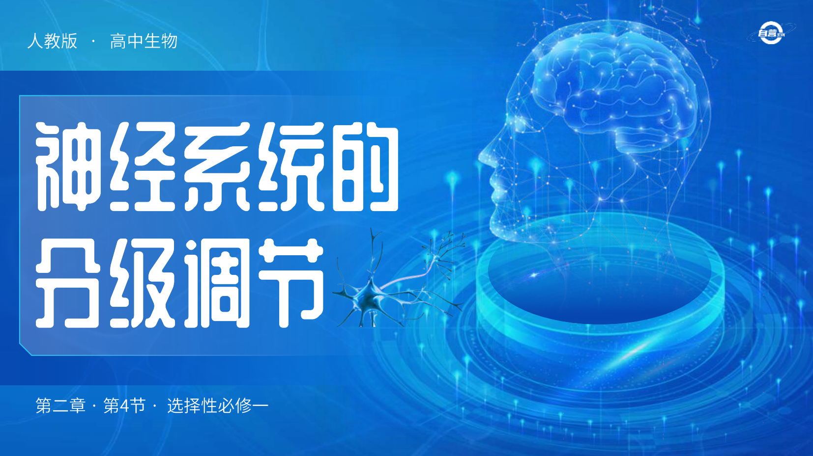 预览图 1
