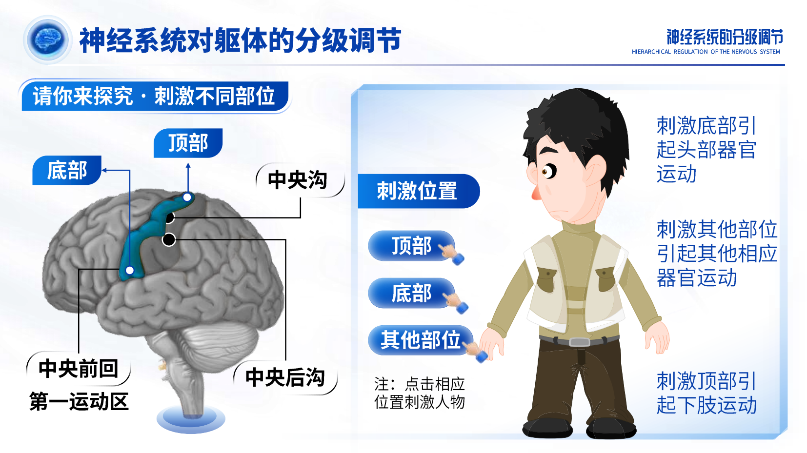 预览图 12