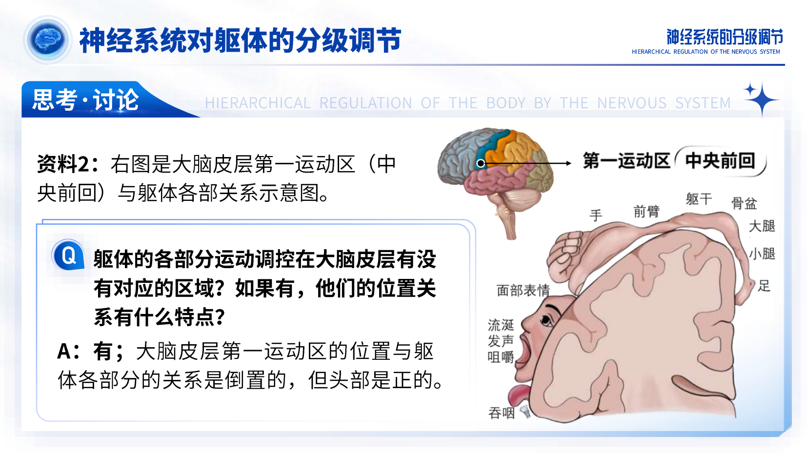 预览图 13