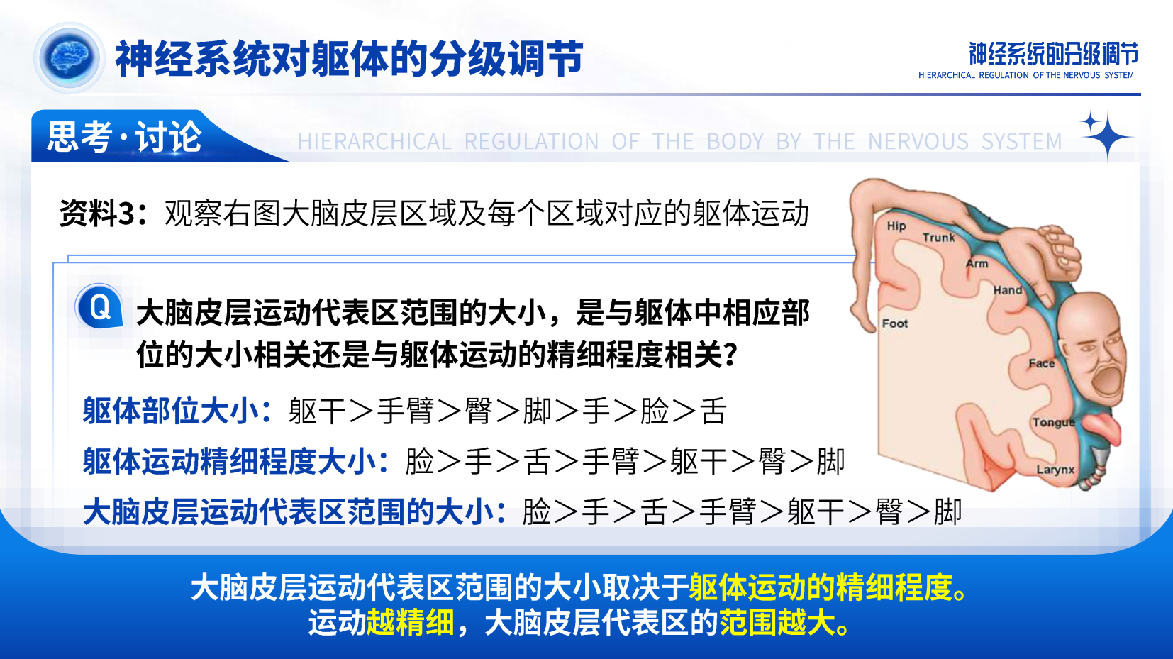 预览图 14