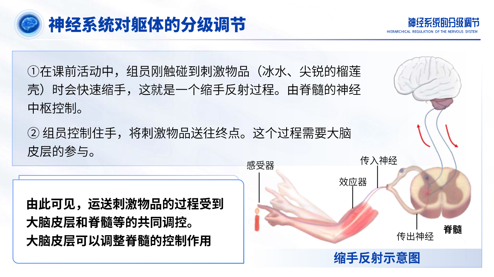 预览图 16