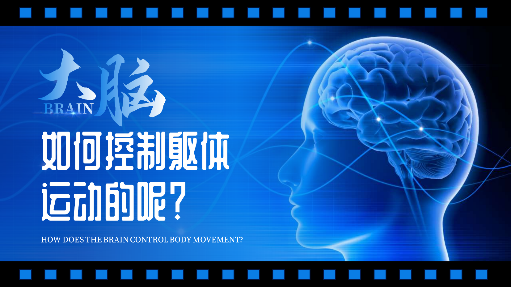 预览图 5