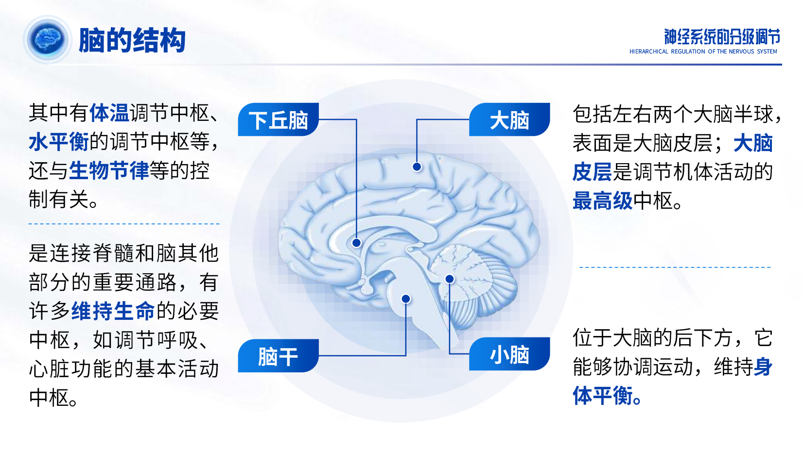 预览图 6