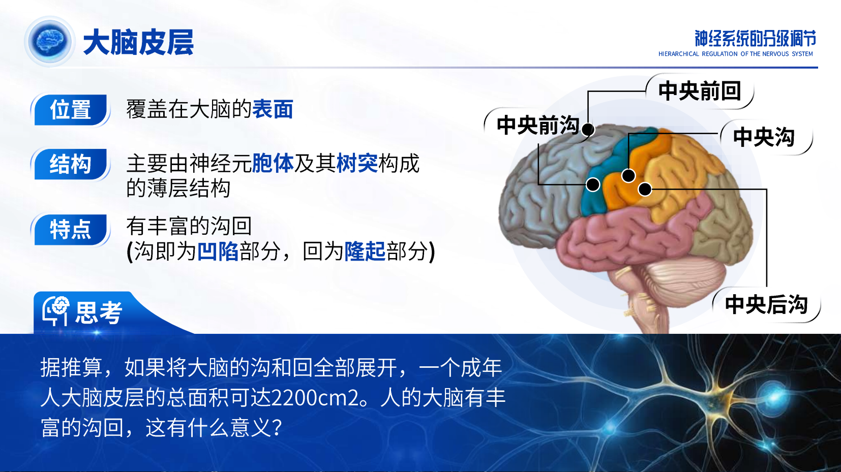 预览图 7