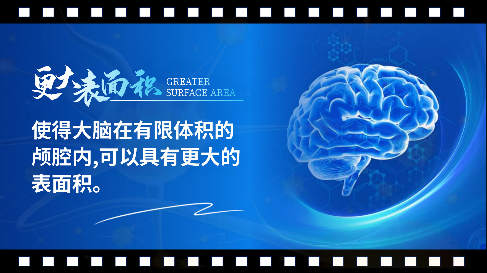 预览图 8