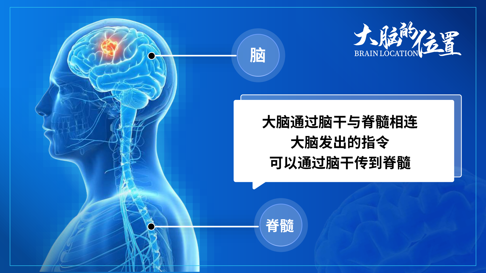 预览图 9