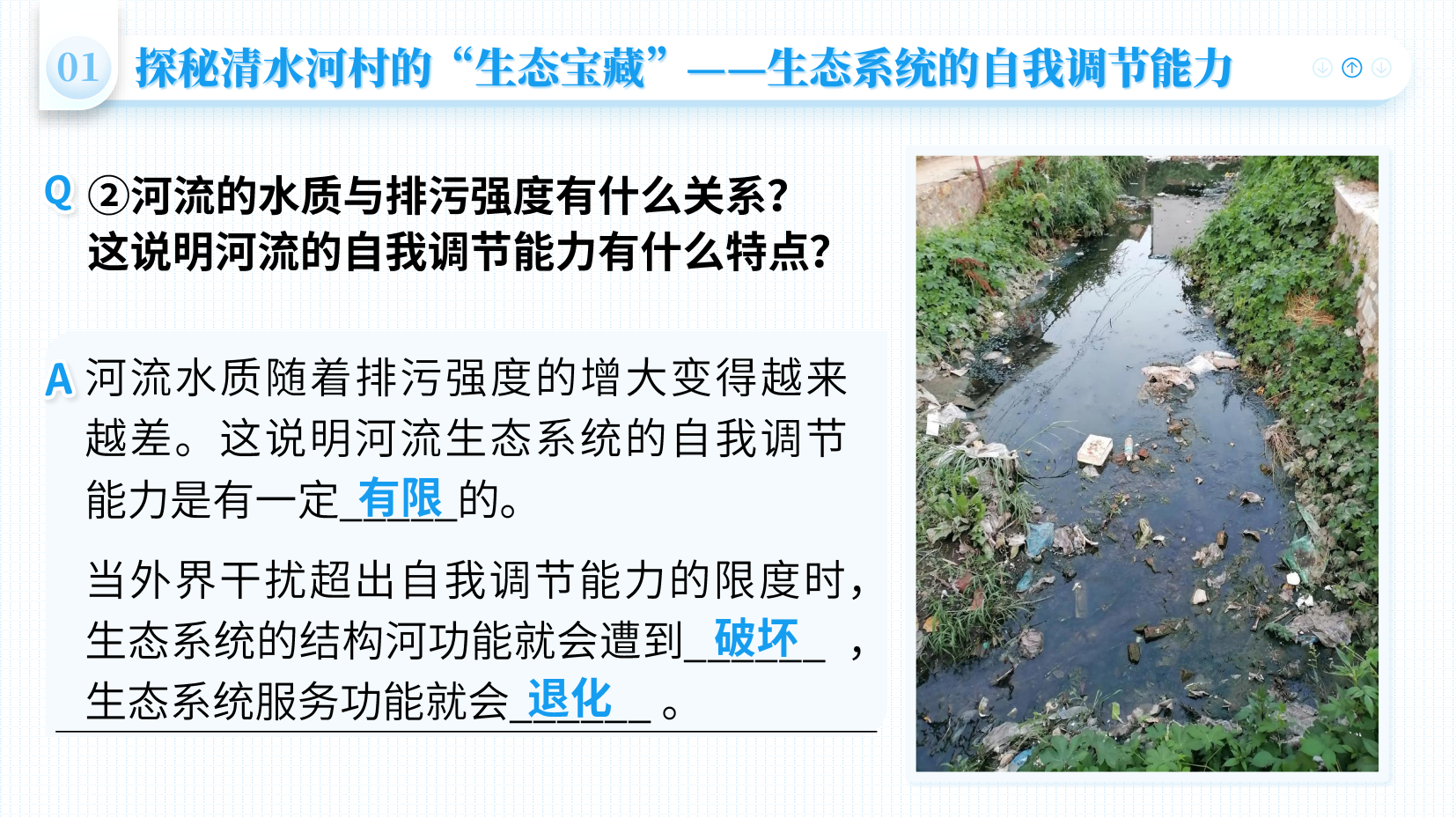 预览图 11