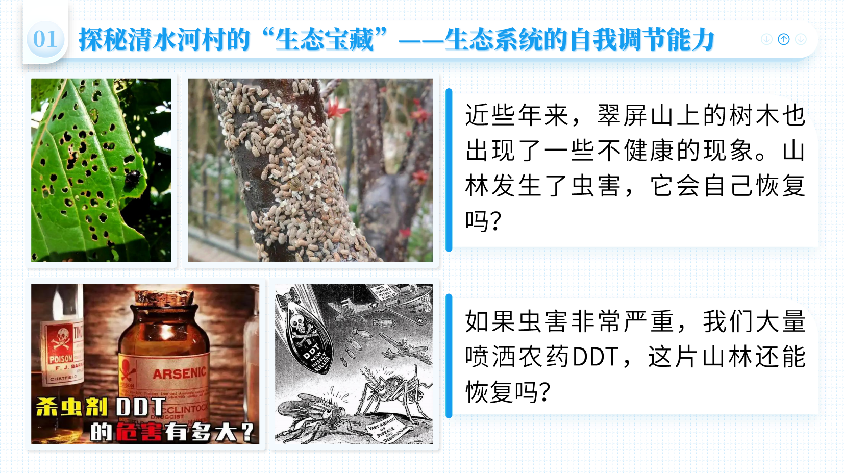 预览图 12