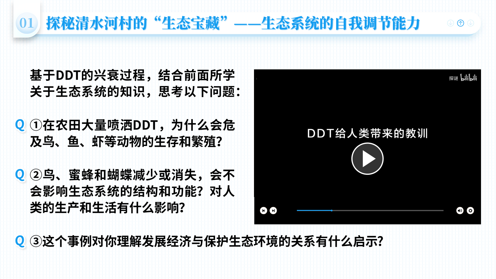 预览图 13