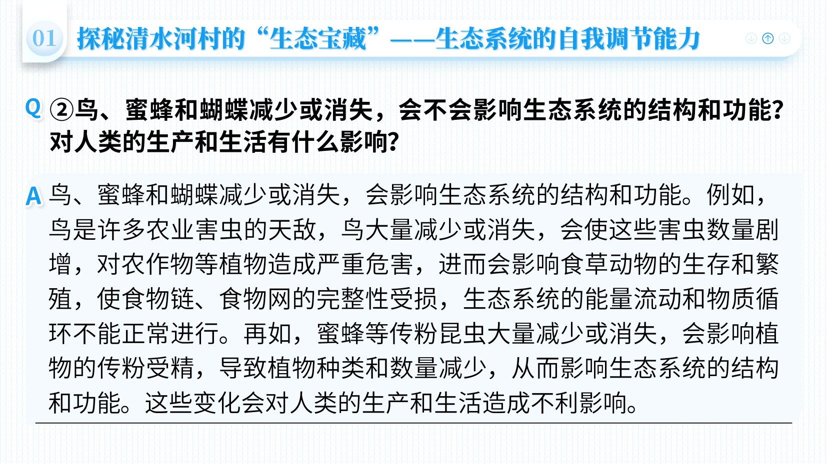 预览图 15