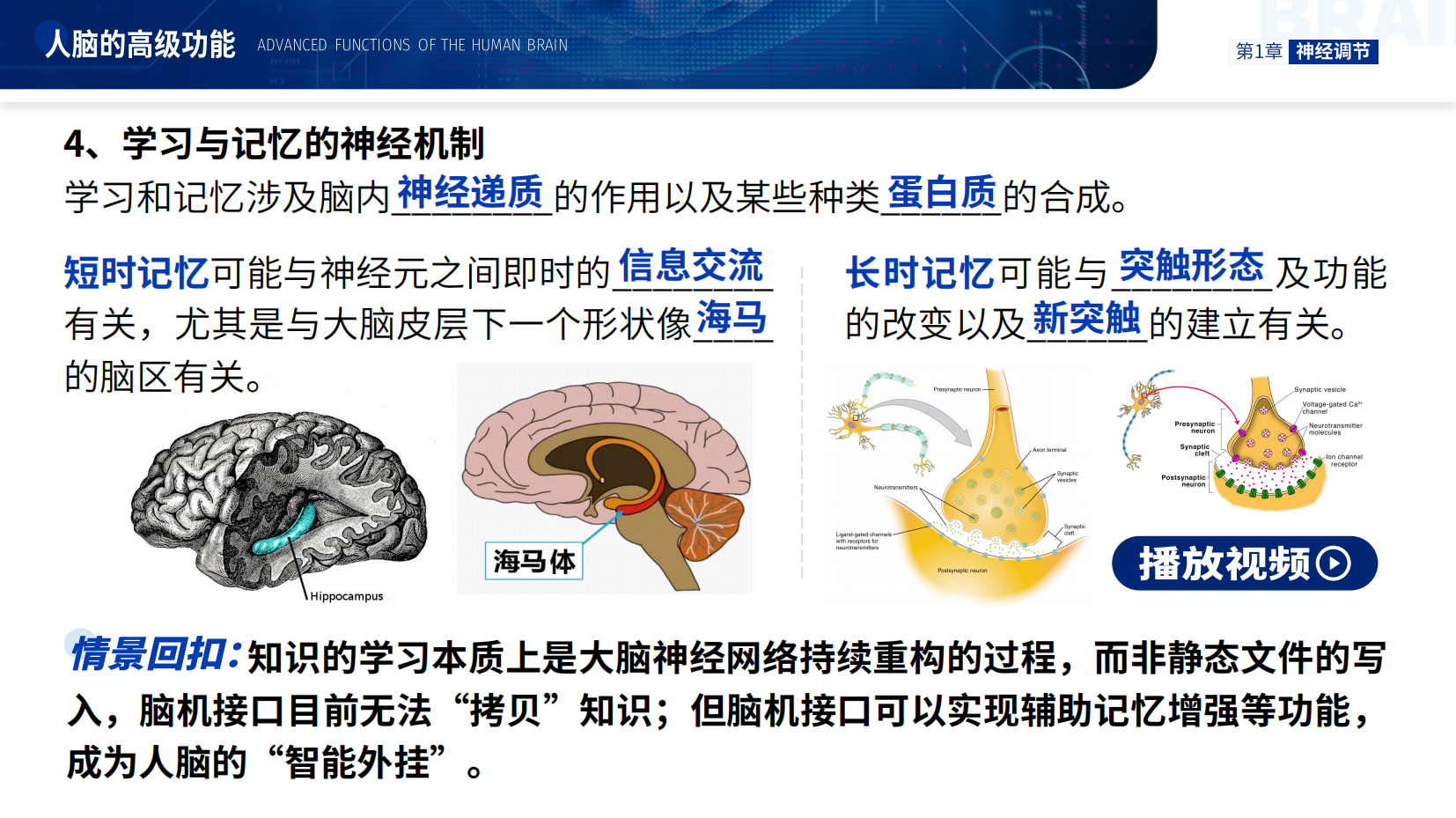 预览图 15