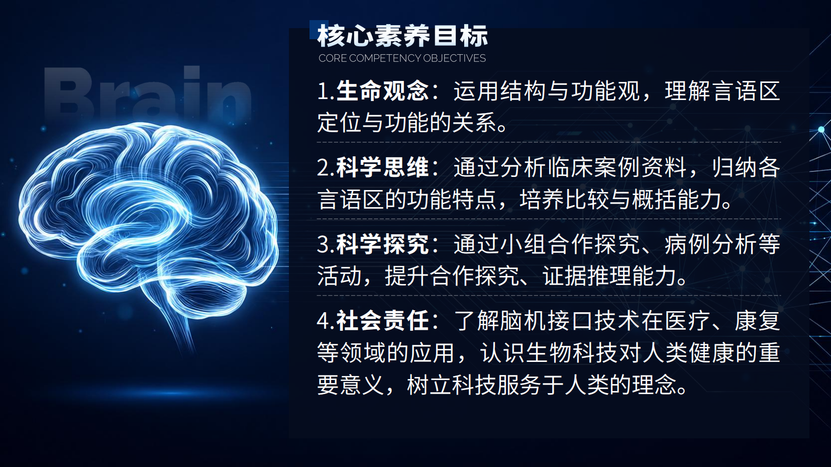 预览图 2