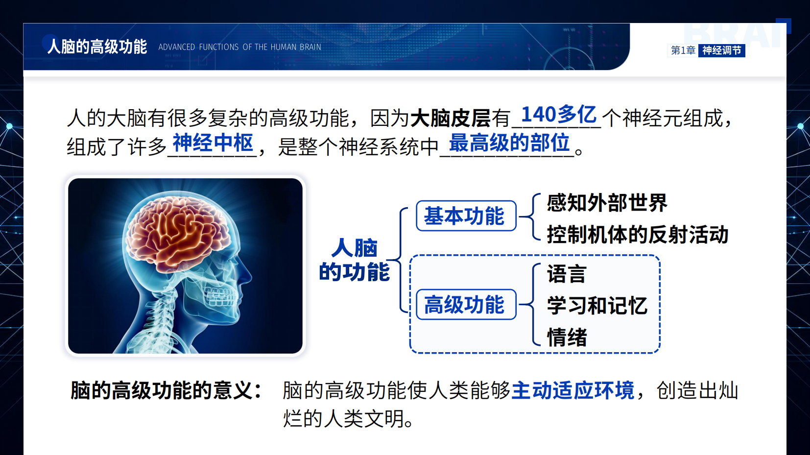 预览图 5