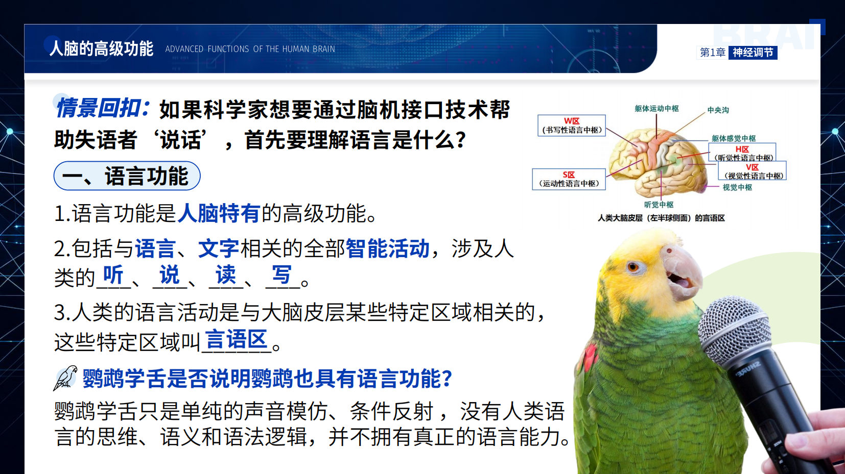 预览图 6