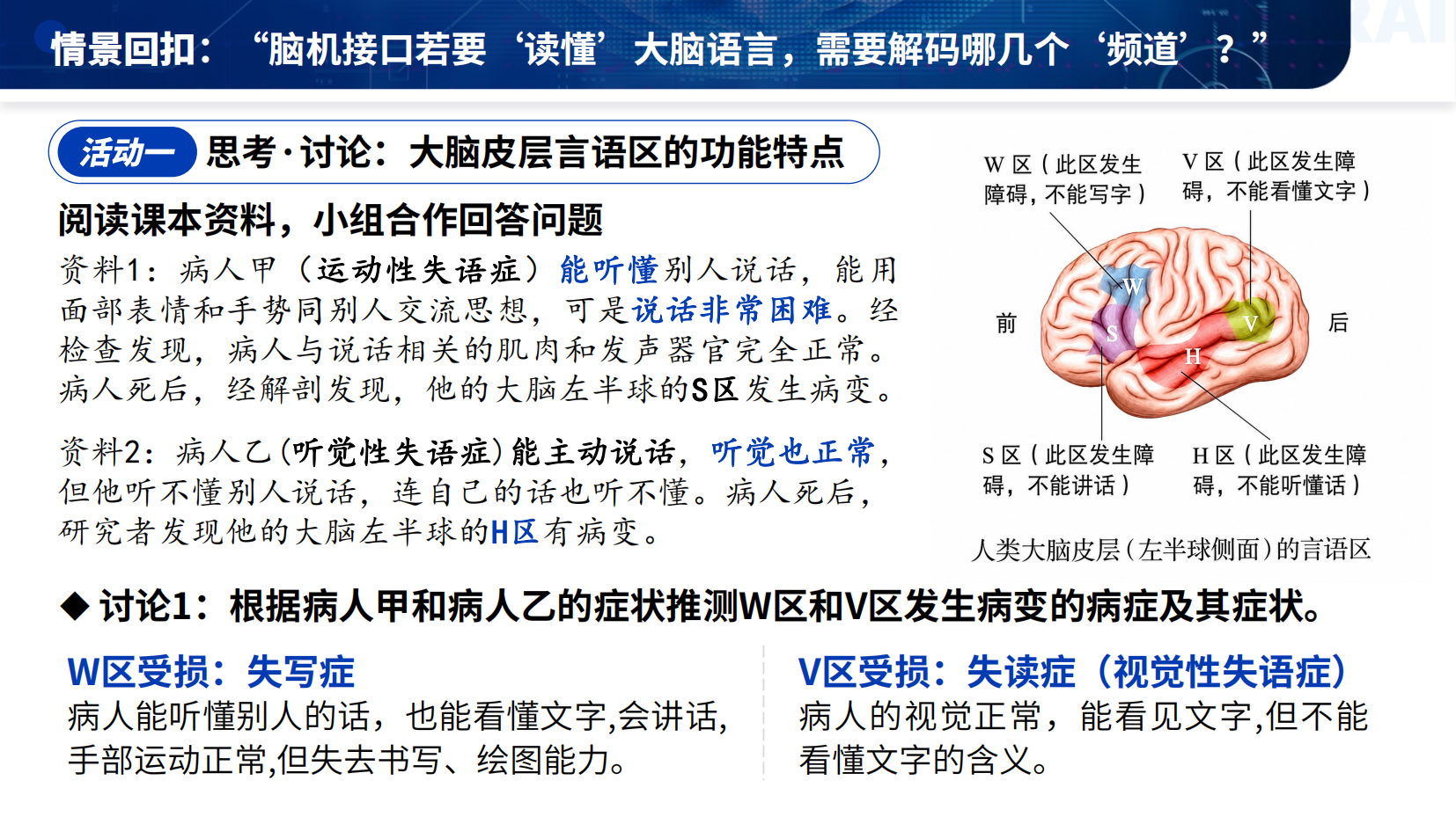 预览图 7