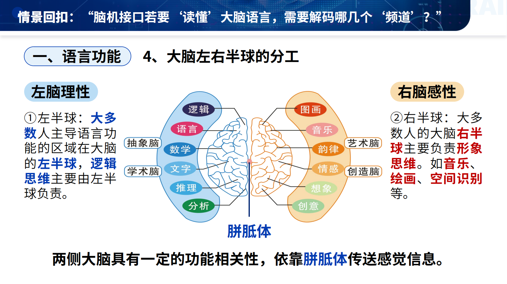 预览图 9