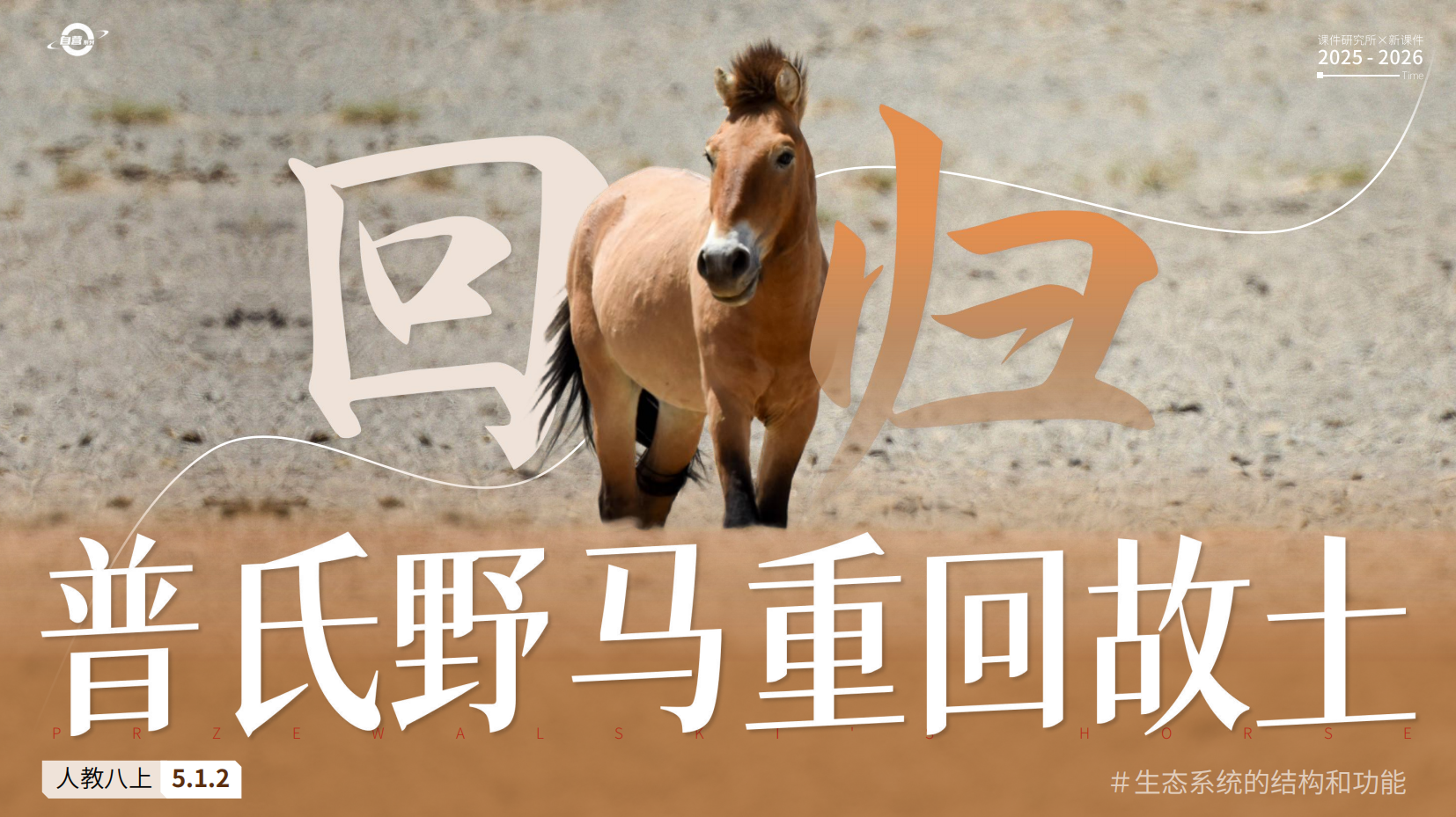 预览图 1