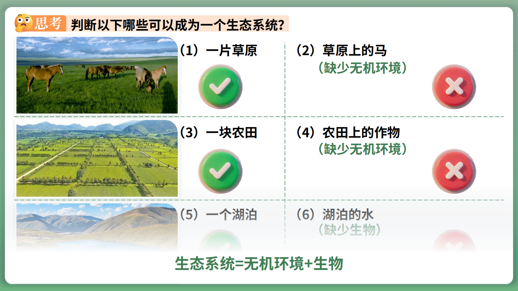 预览图 10