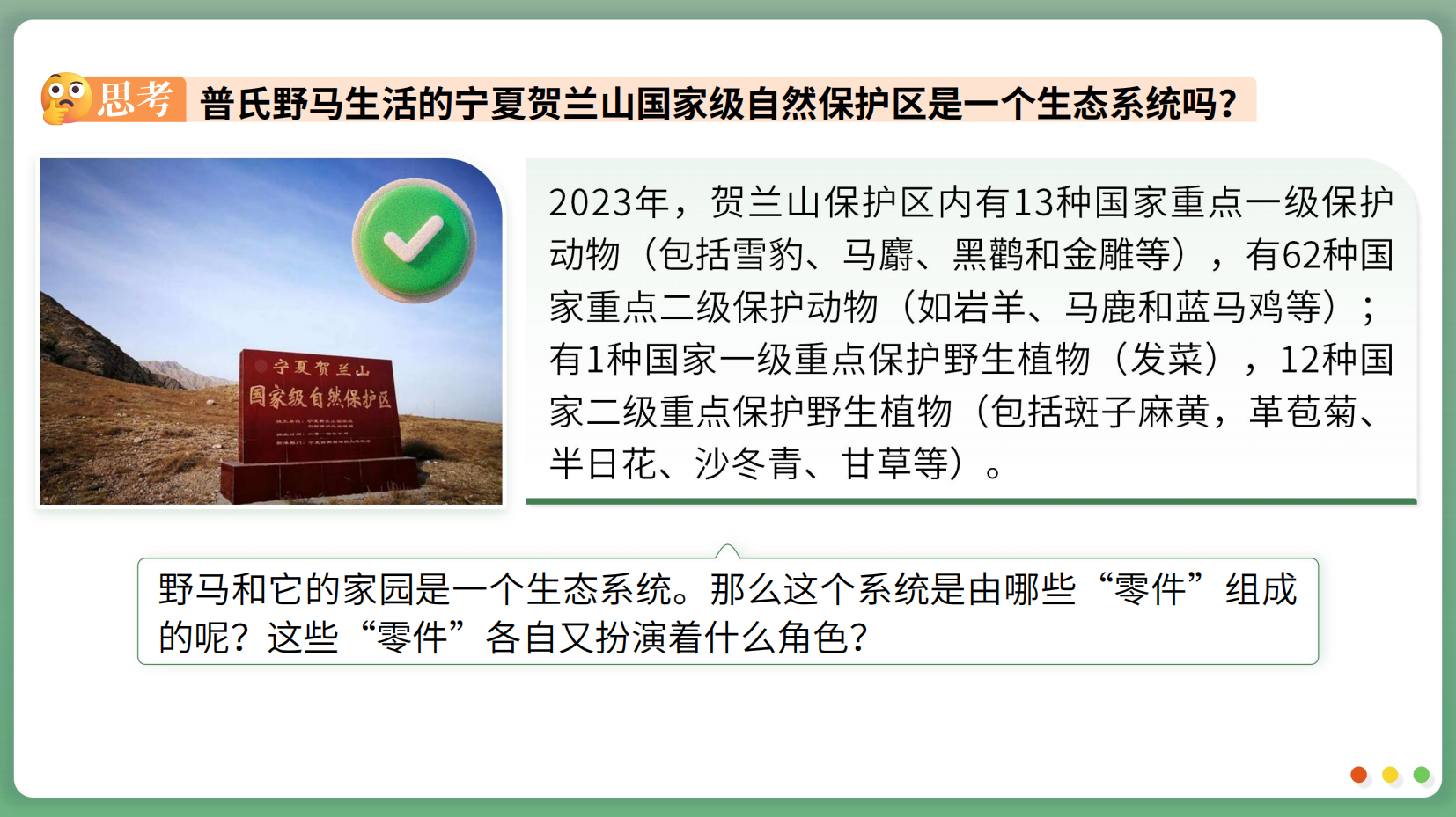 预览图 11