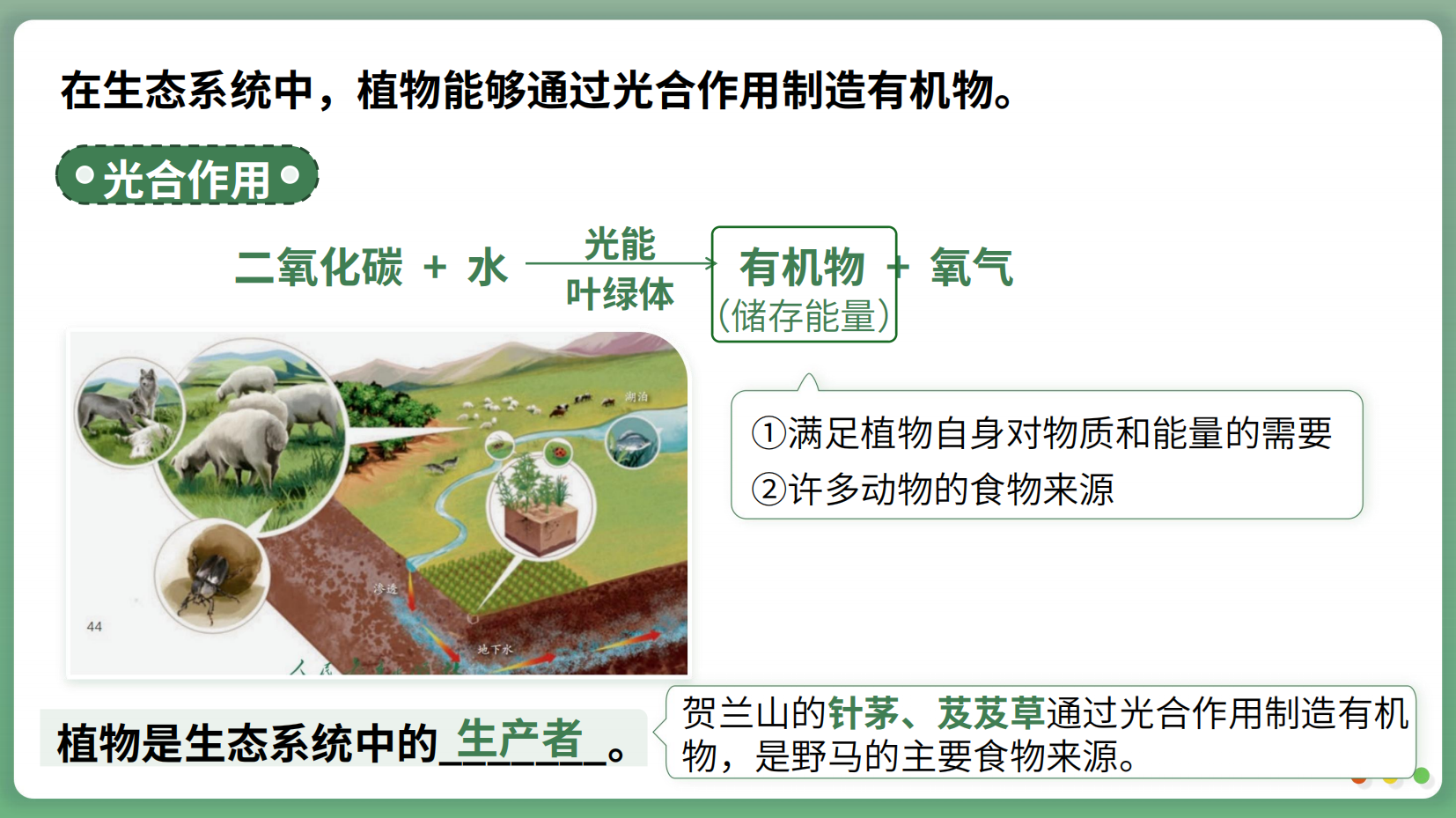 预览图 15