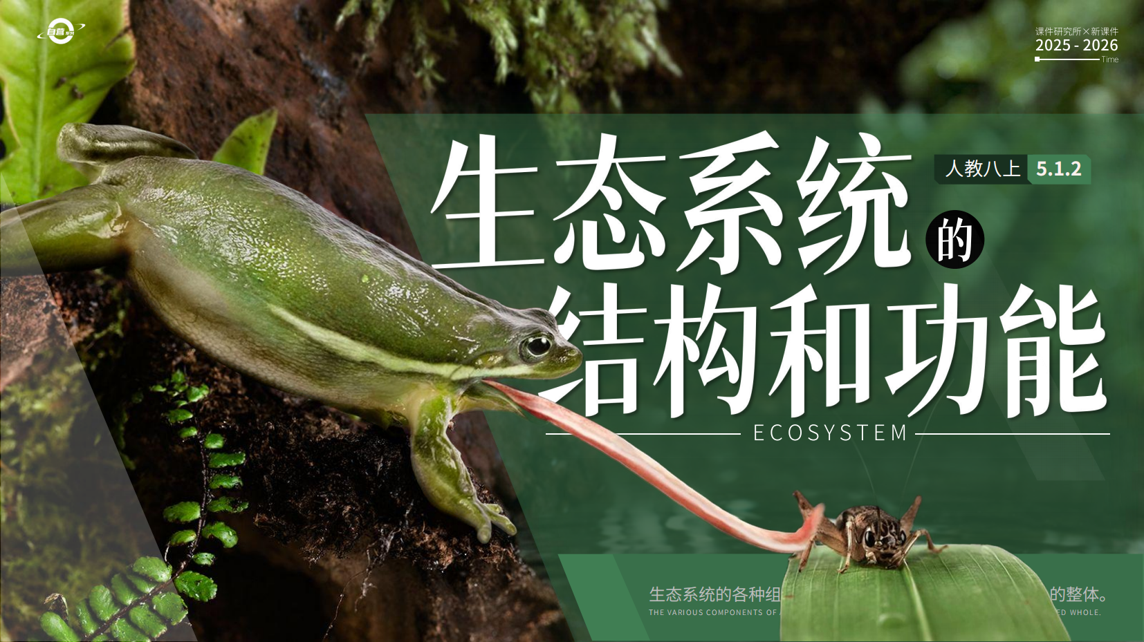 预览图 2