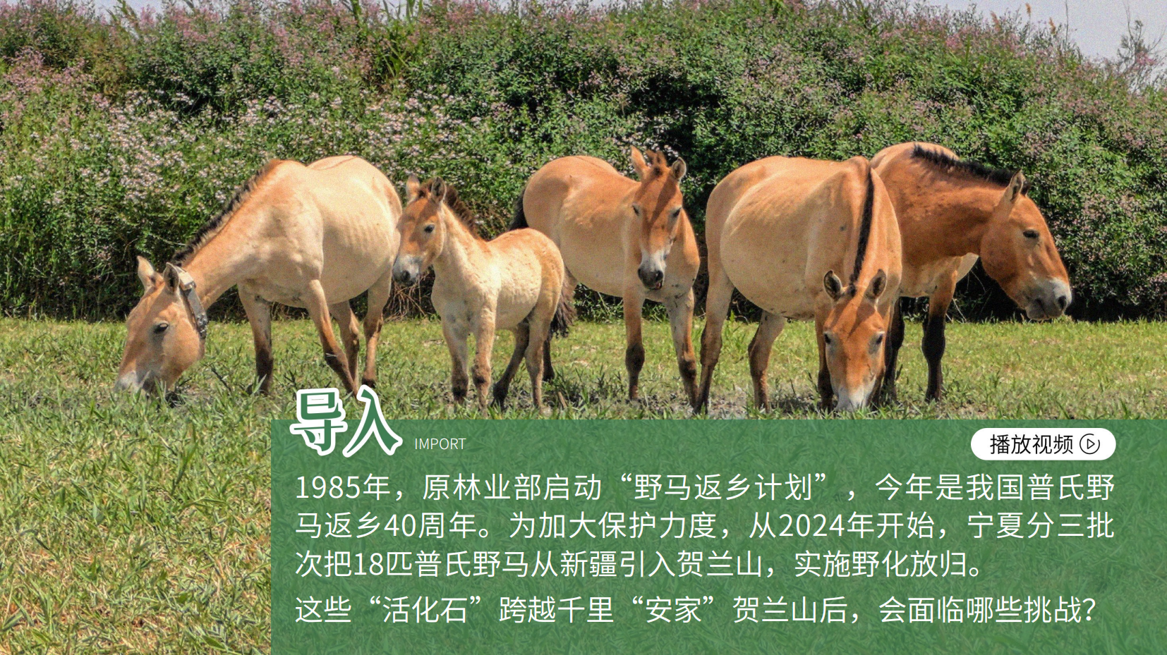 预览图 5