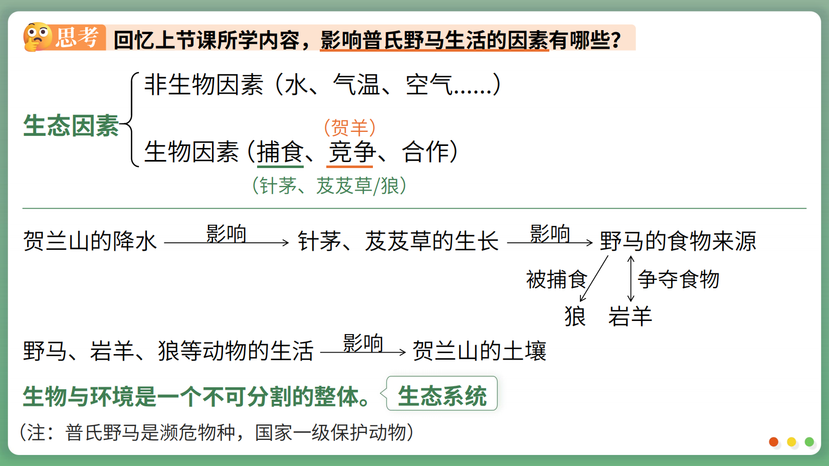 预览图 6