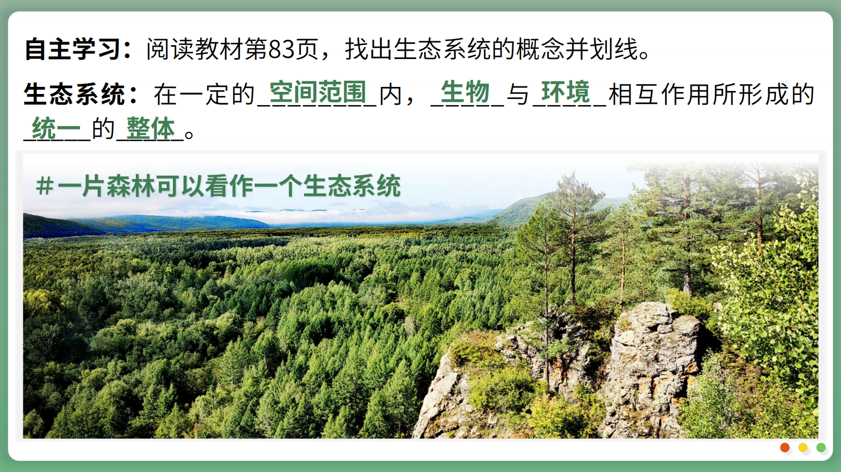 预览图 9