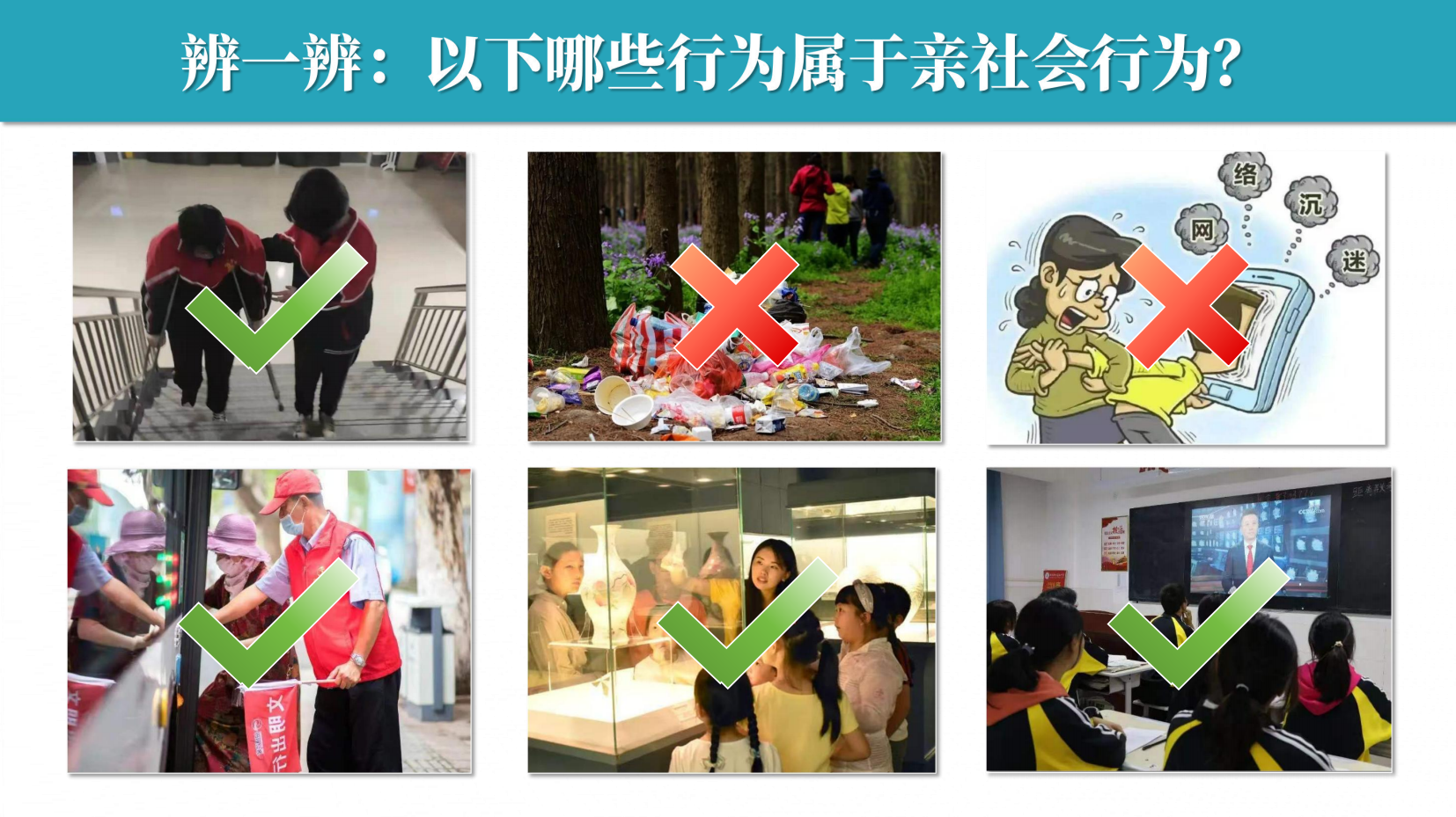 预览图 7