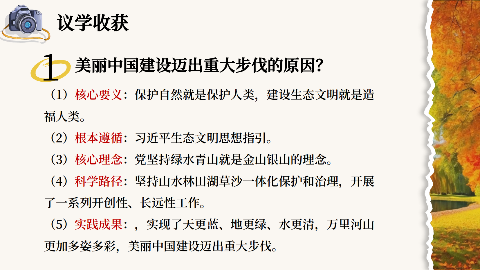 预览图 12