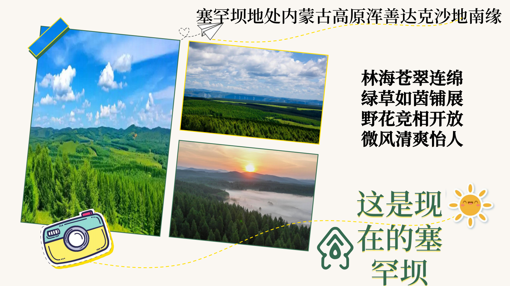 预览图 6