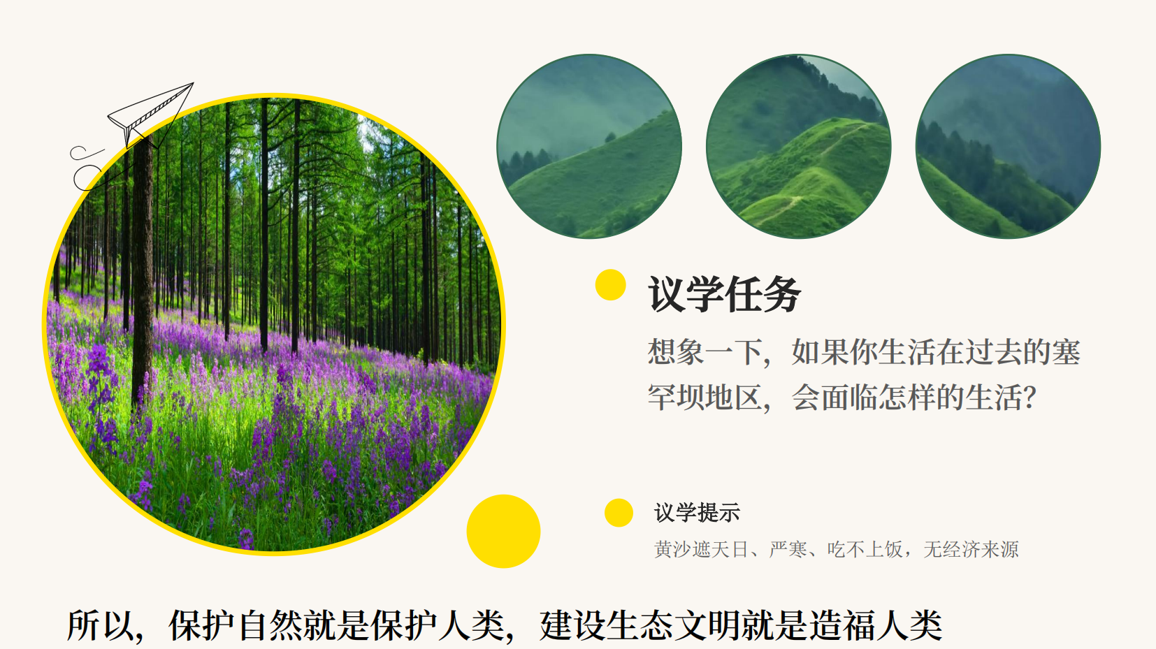 预览图 8