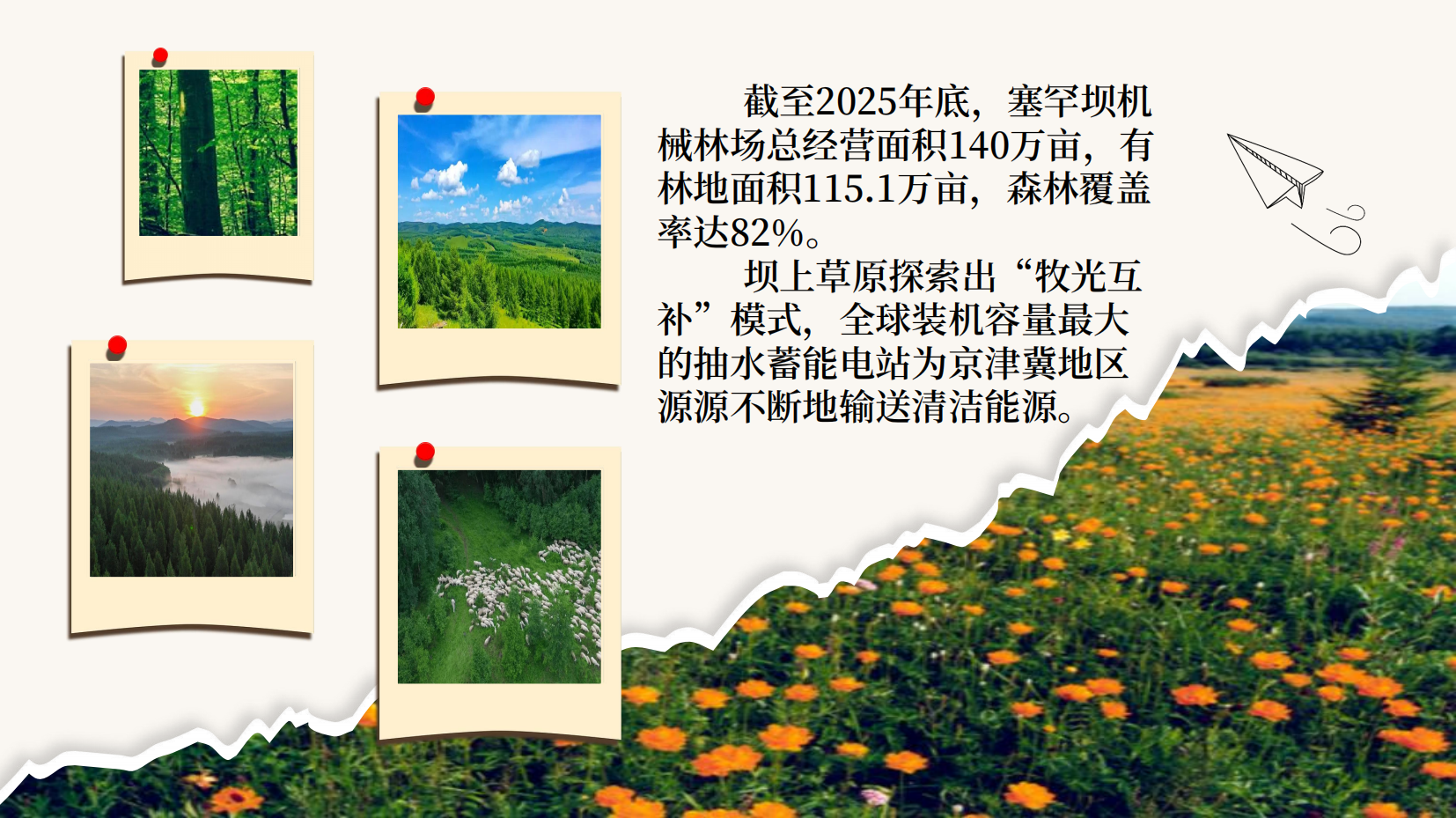 预览图 9