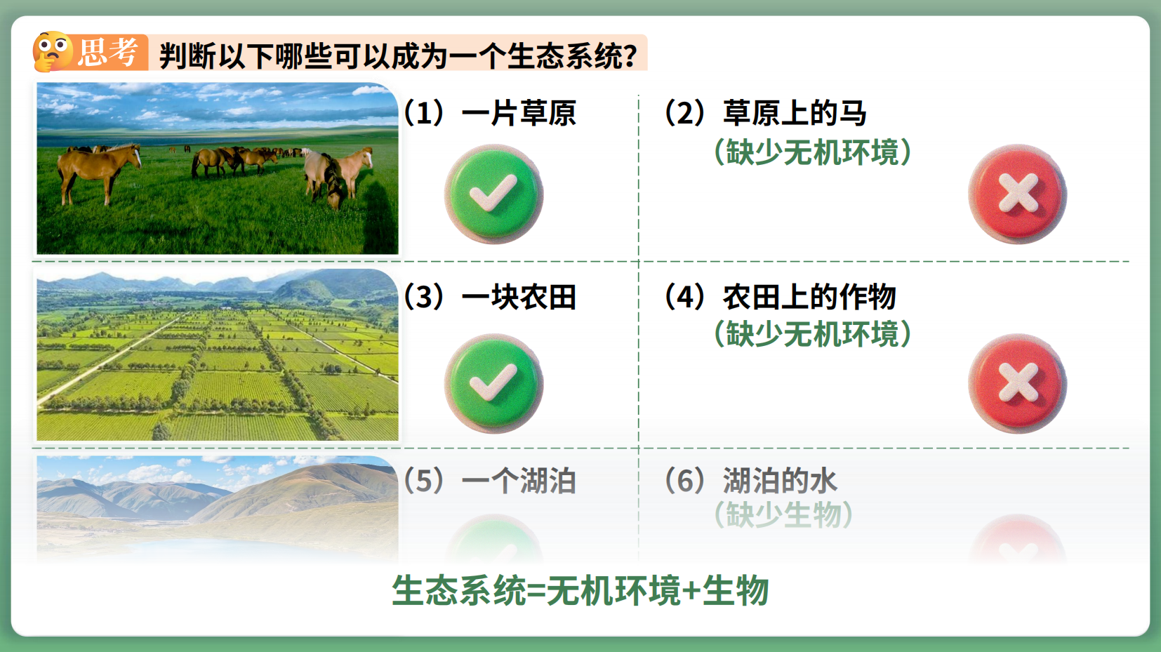 预览图 10