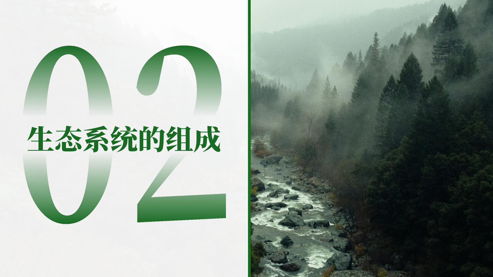 预览图 12