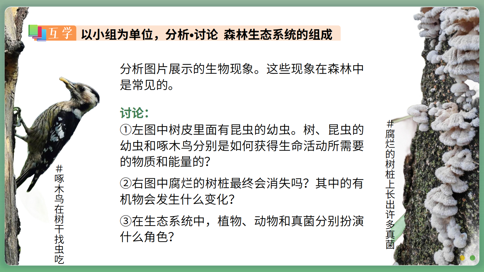 预览图 13