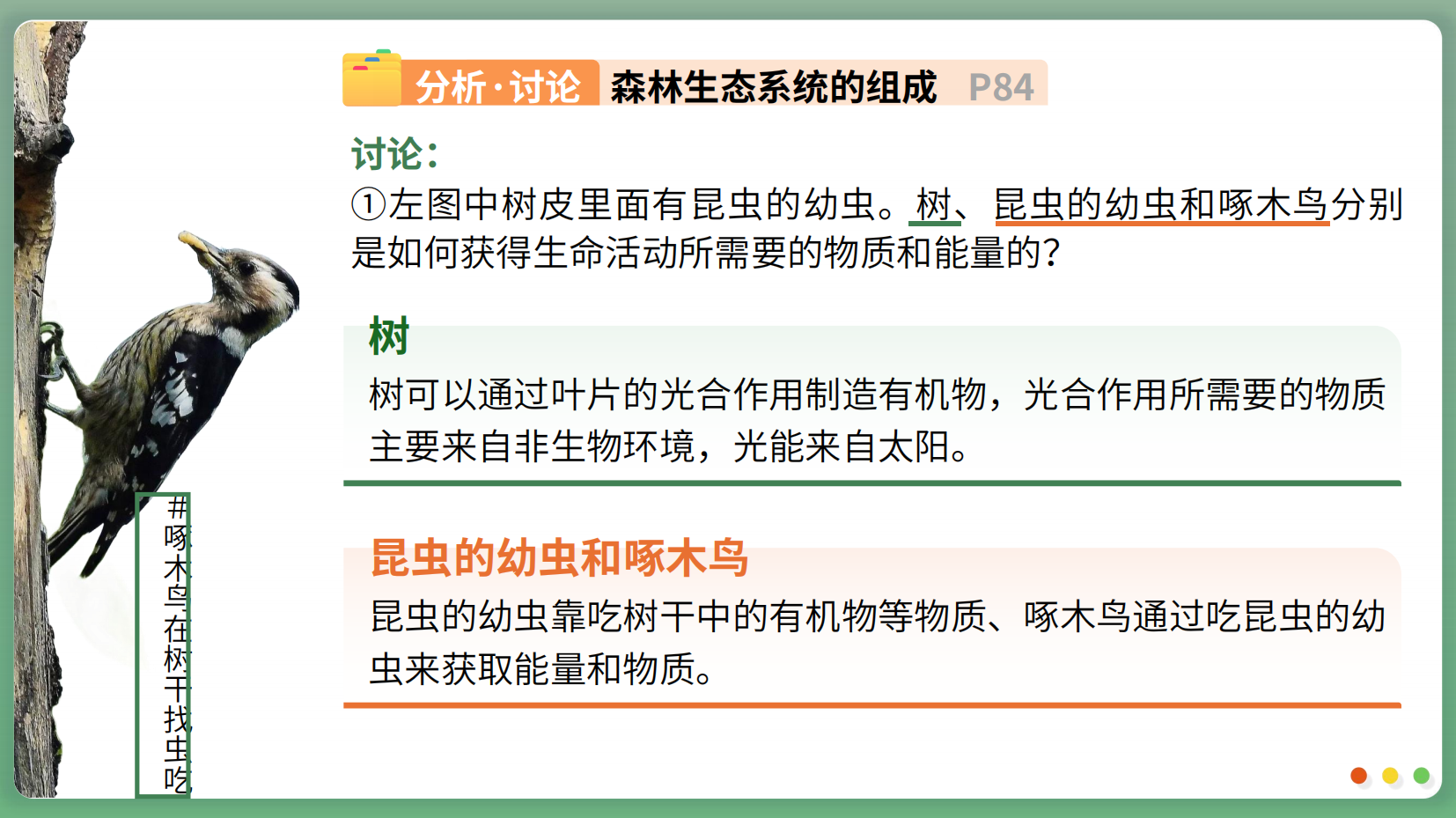预览图 14