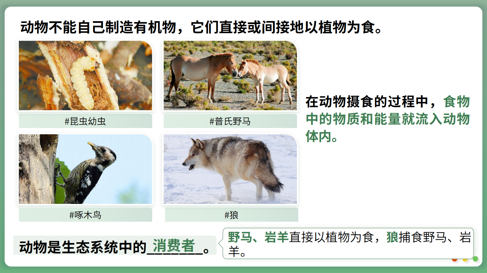 预览图 16