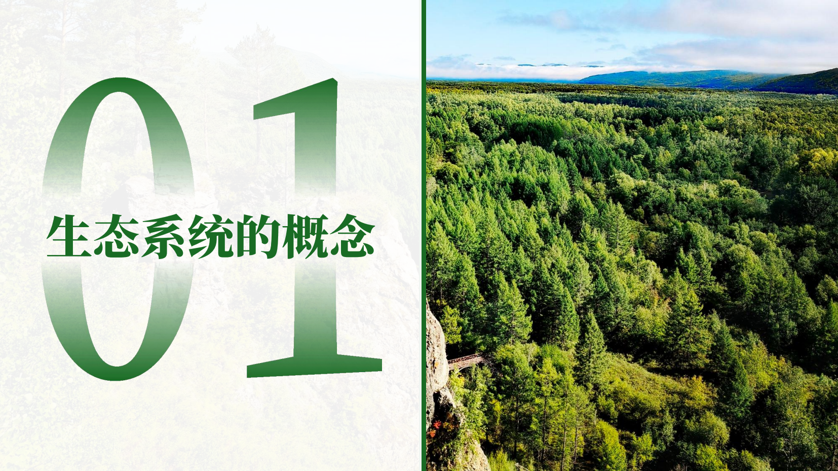 预览图 8