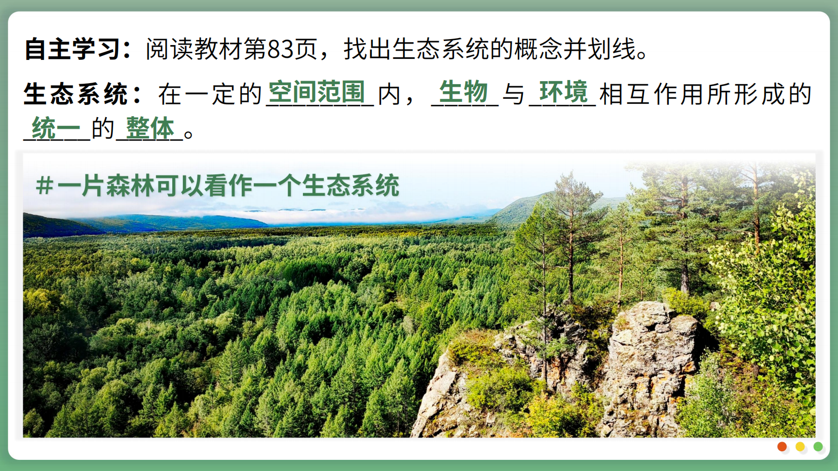 预览图 9