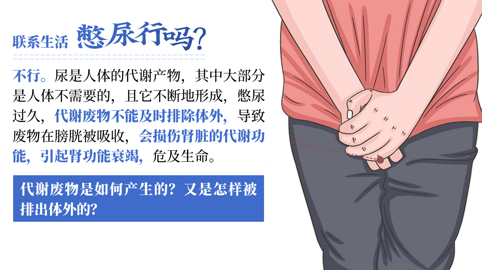 预览图 10