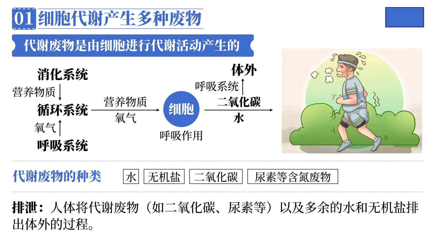 预览图 11
