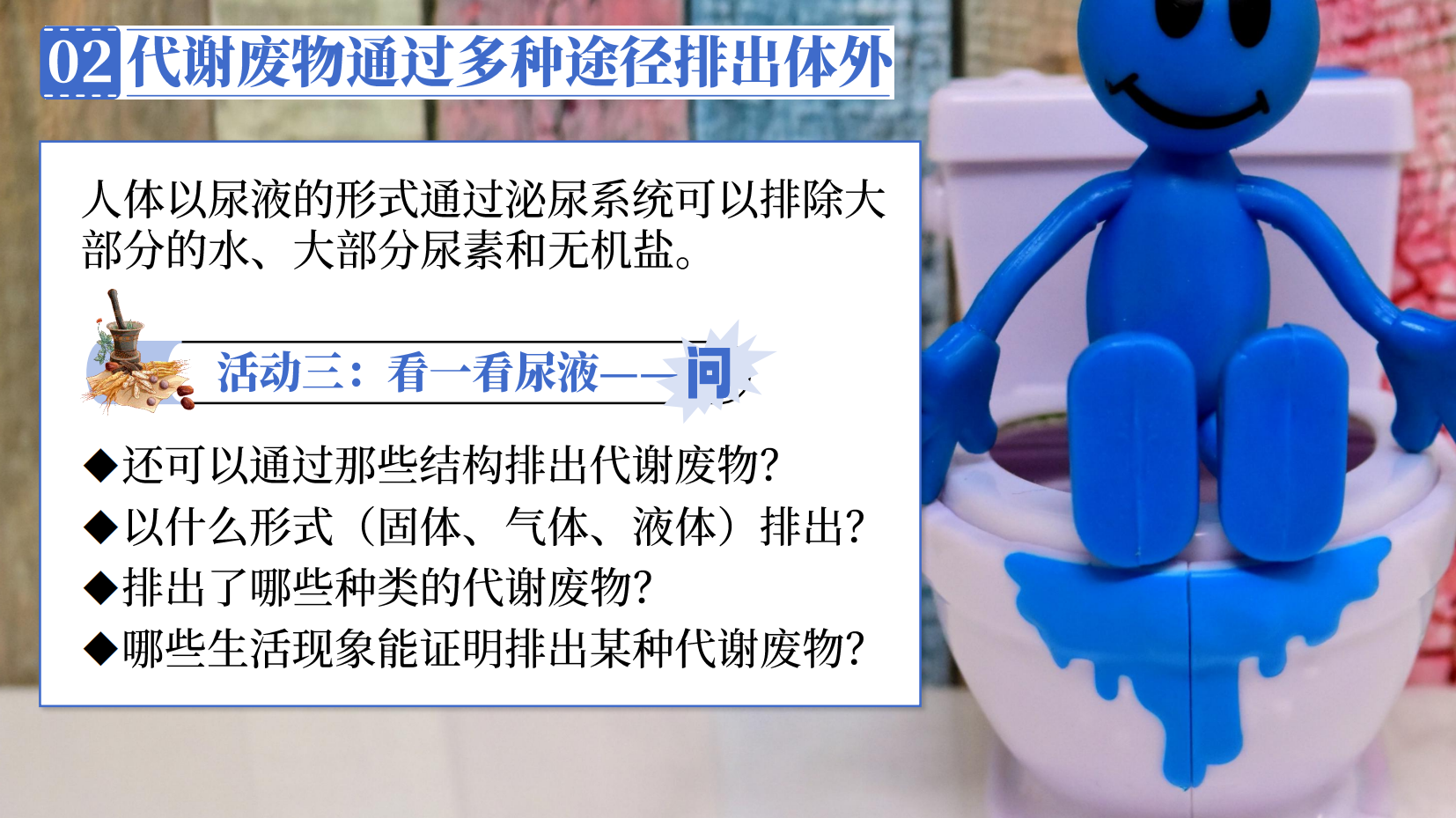 预览图 12