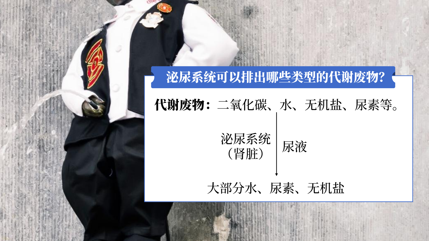 预览图 13