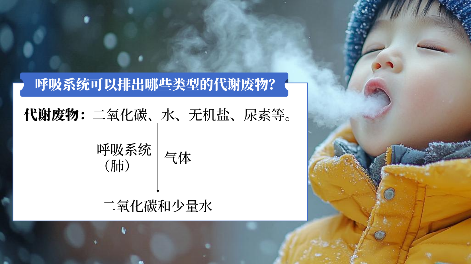 预览图 14